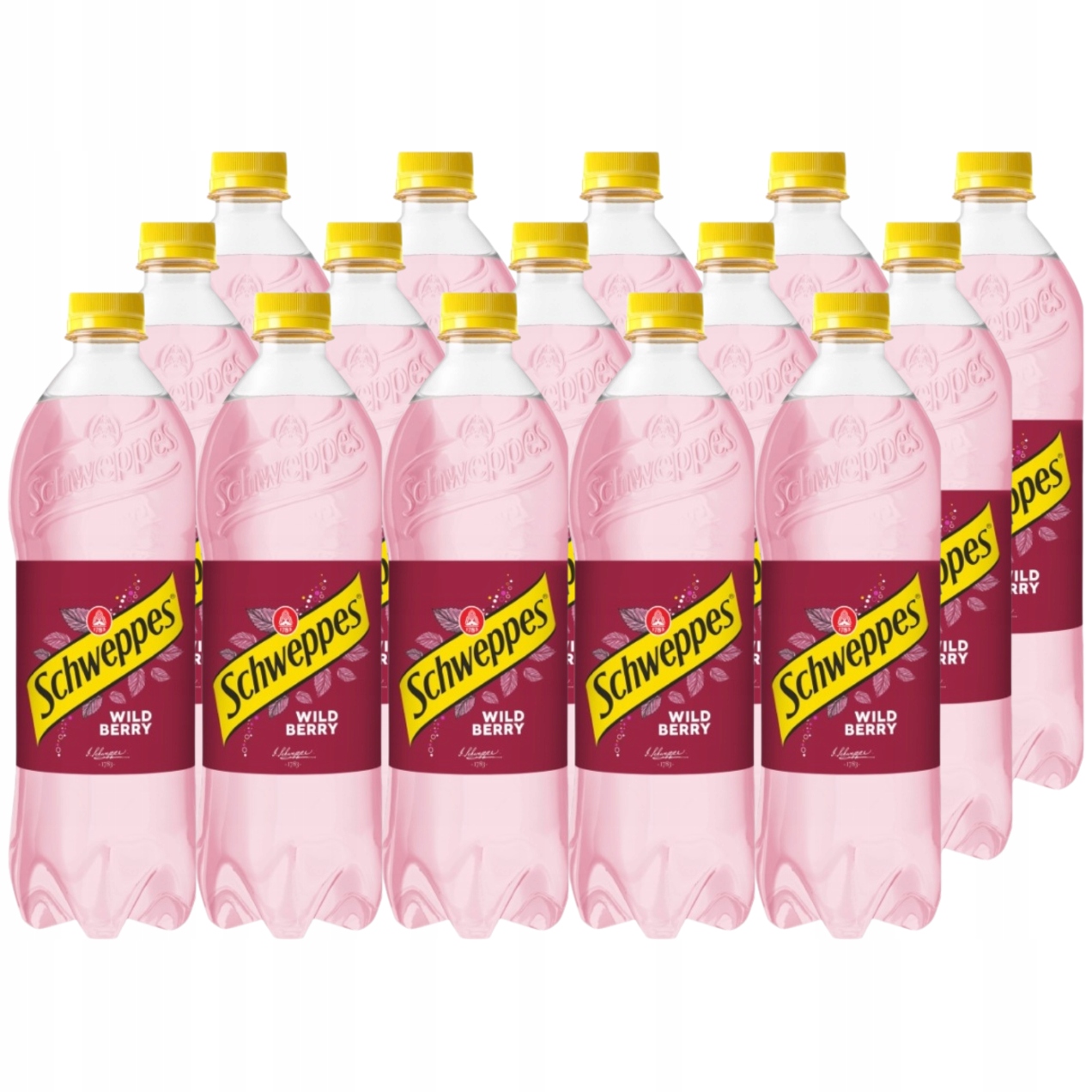 Schweppes Wild Berry Sycený nápoj 0,85 l x 15 kusů
