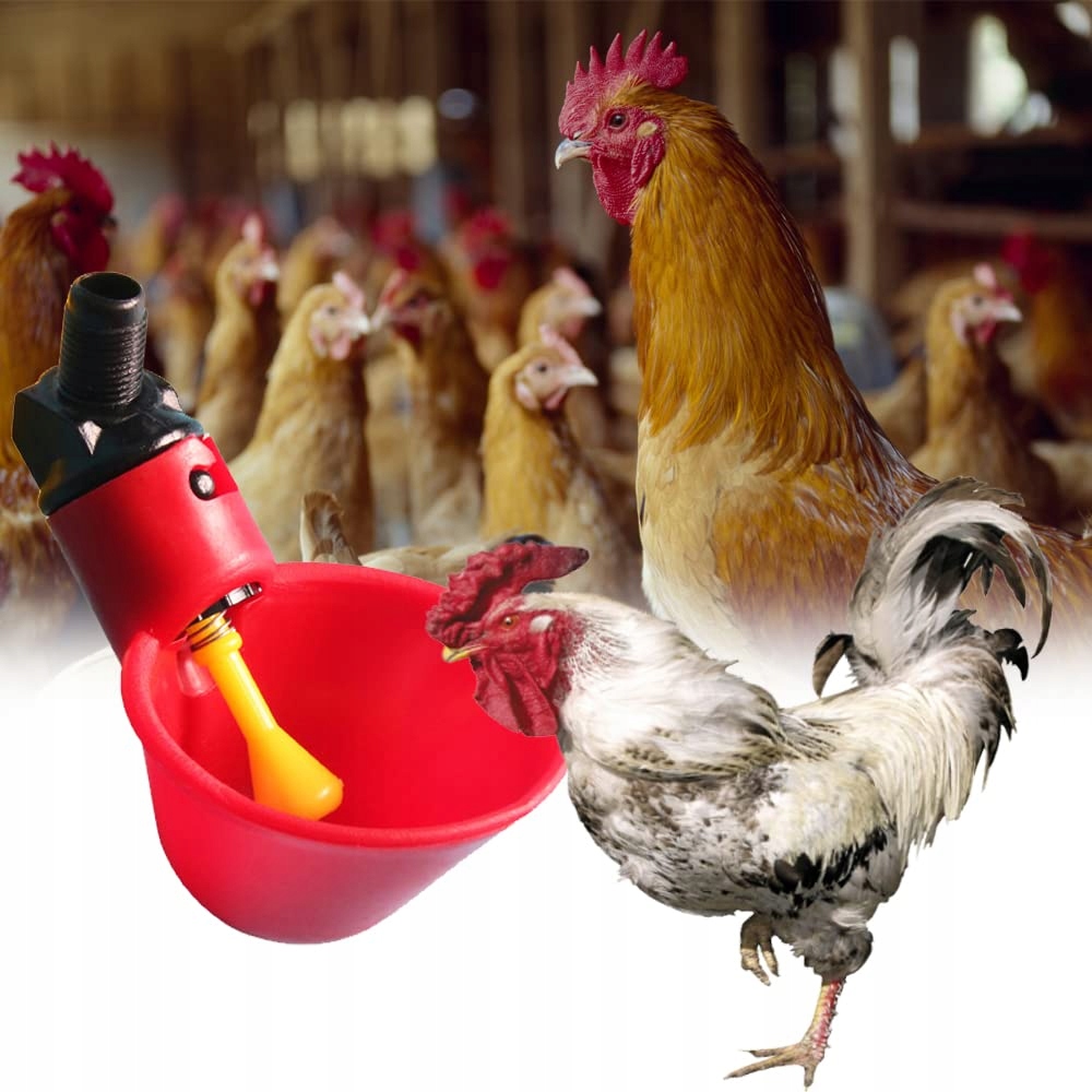 10x automatycznych poideł do poidła dla kurczaków Marka inny
