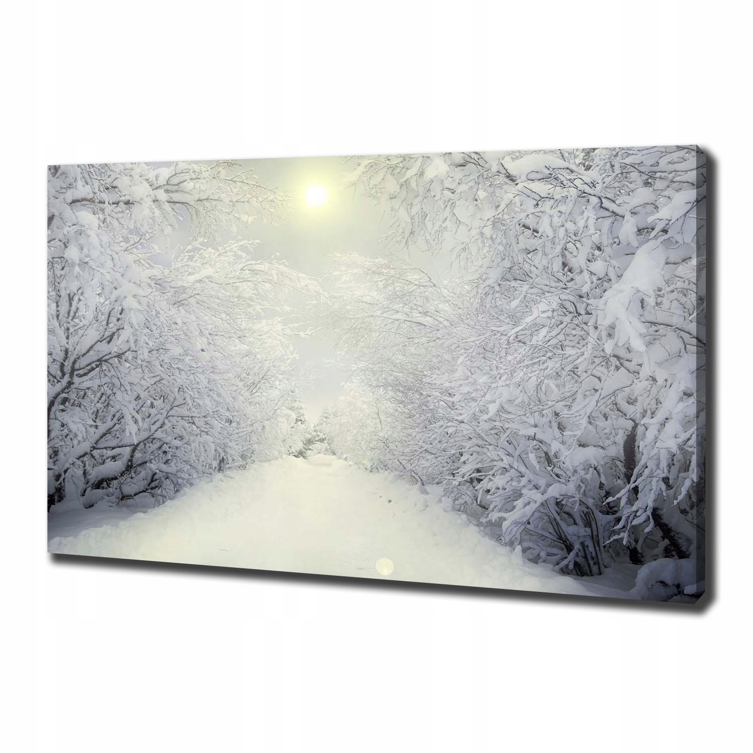 

Foto obraz na płótnie Piękny las zimą 100x70 cm