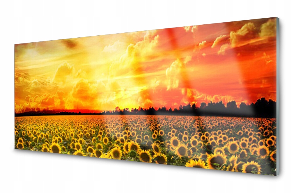 

Panel szklany do kuchni Słoneczniki Kwiaty 125x50