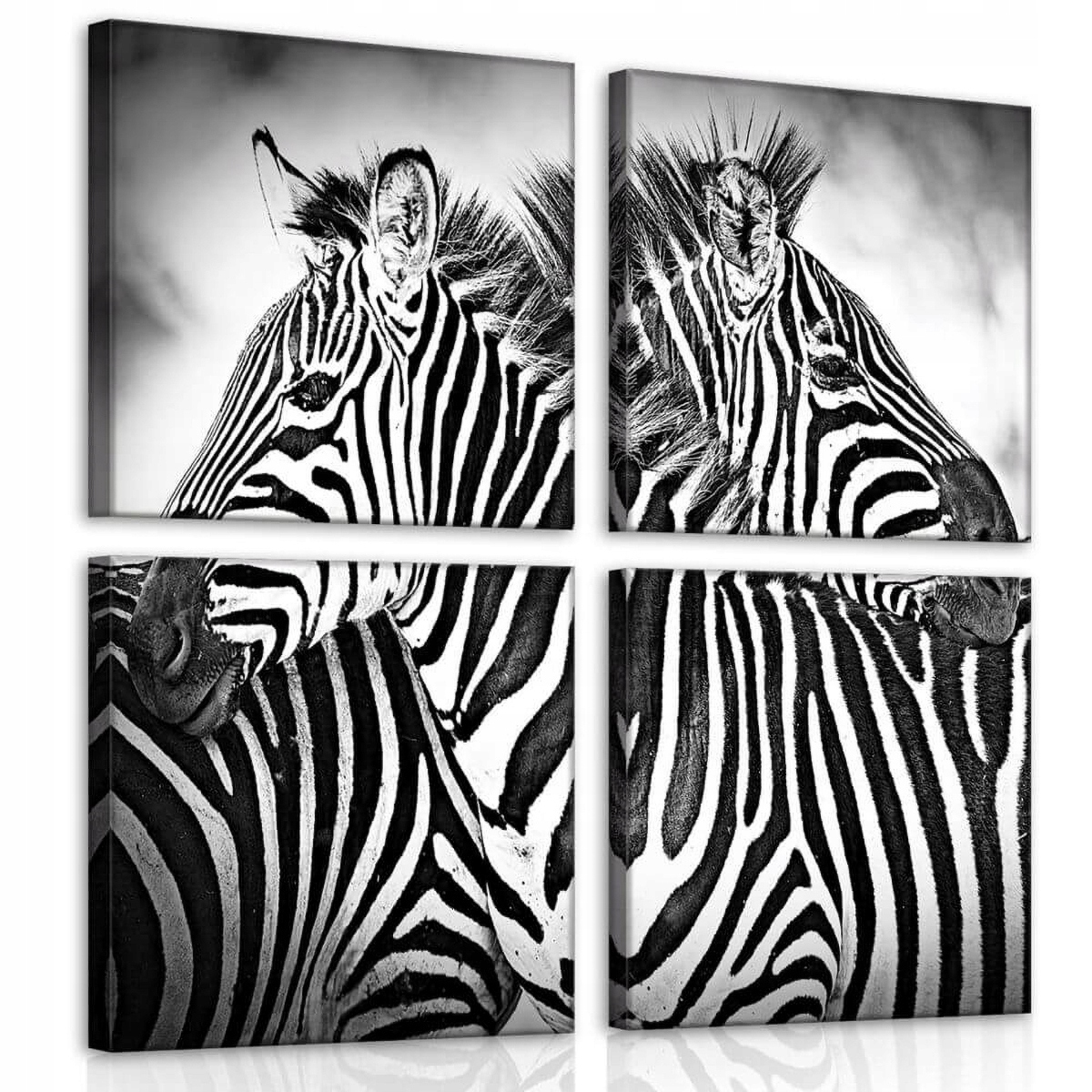 Obraz Na Plátně Canvas 50x50 Zvířata Zvířátka Zebra Pár Černobílá Příroda