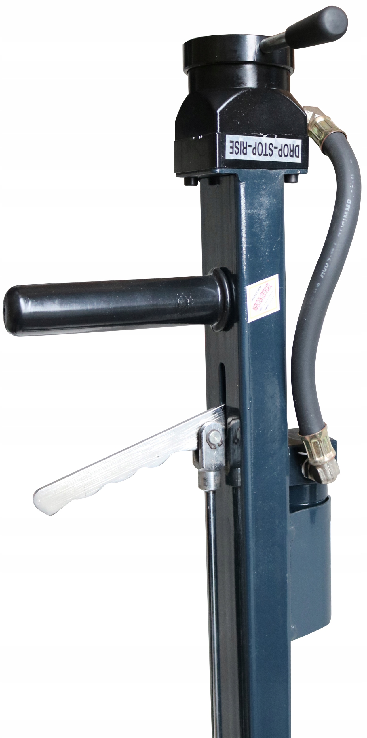 C241336d4a5fa9ea95729df966a8