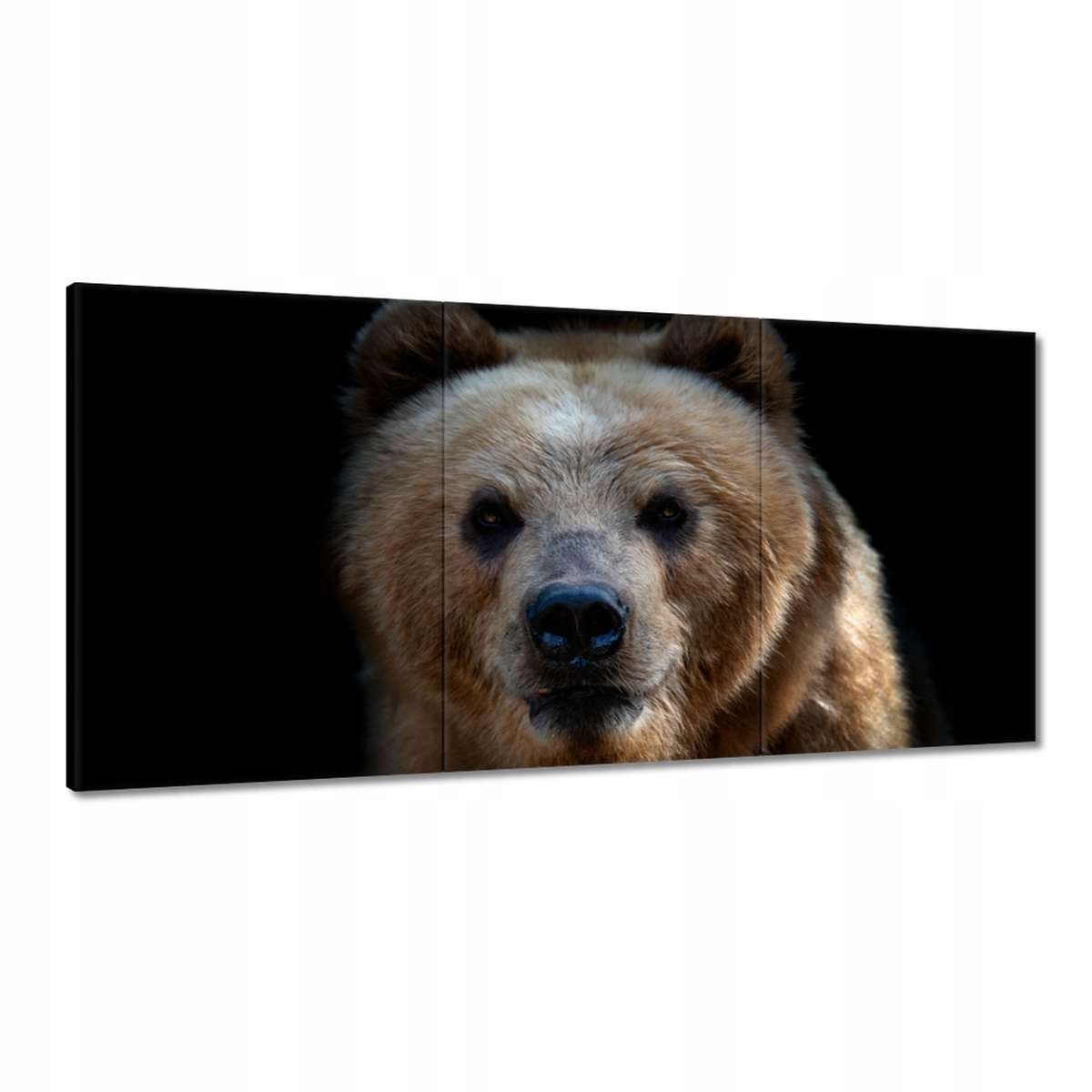 Obrazy 180x90 Pohľad na medveďa