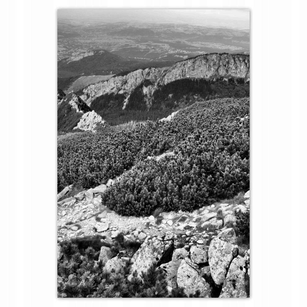 

Plakaty 40x60 Tatry Polskie góry Widok