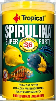 Tropical spirulina Forte 1000 ml
