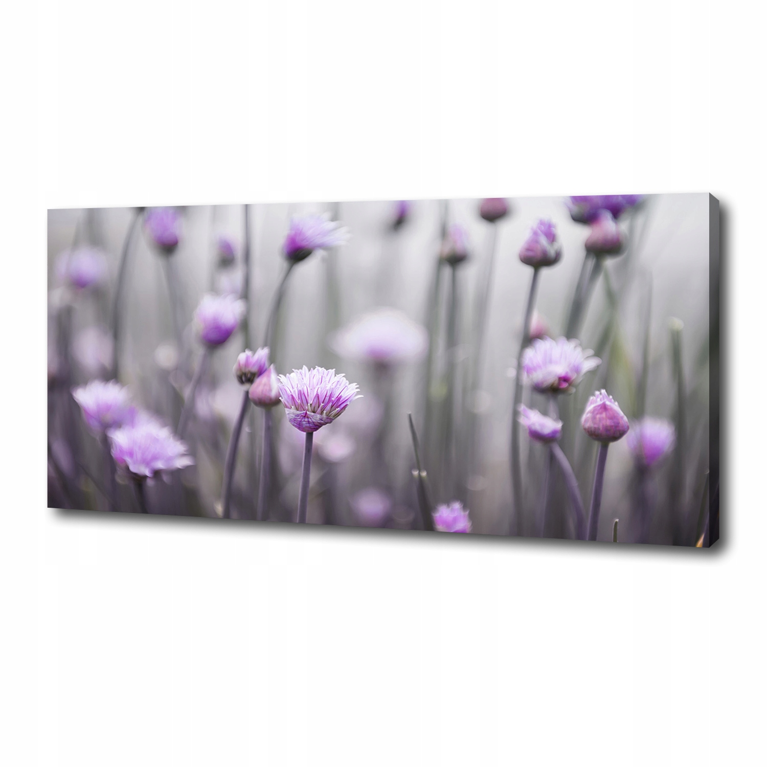 

Foto obraz na płótnie Kwiaty szczypiorku 125x50 cm