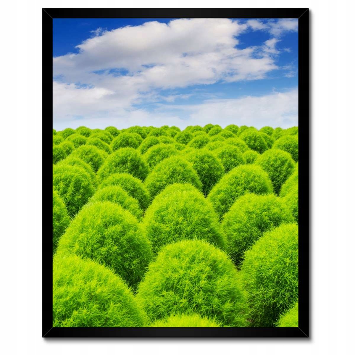 Plakáty v rámu 40x50 Zelený pohled Dolina