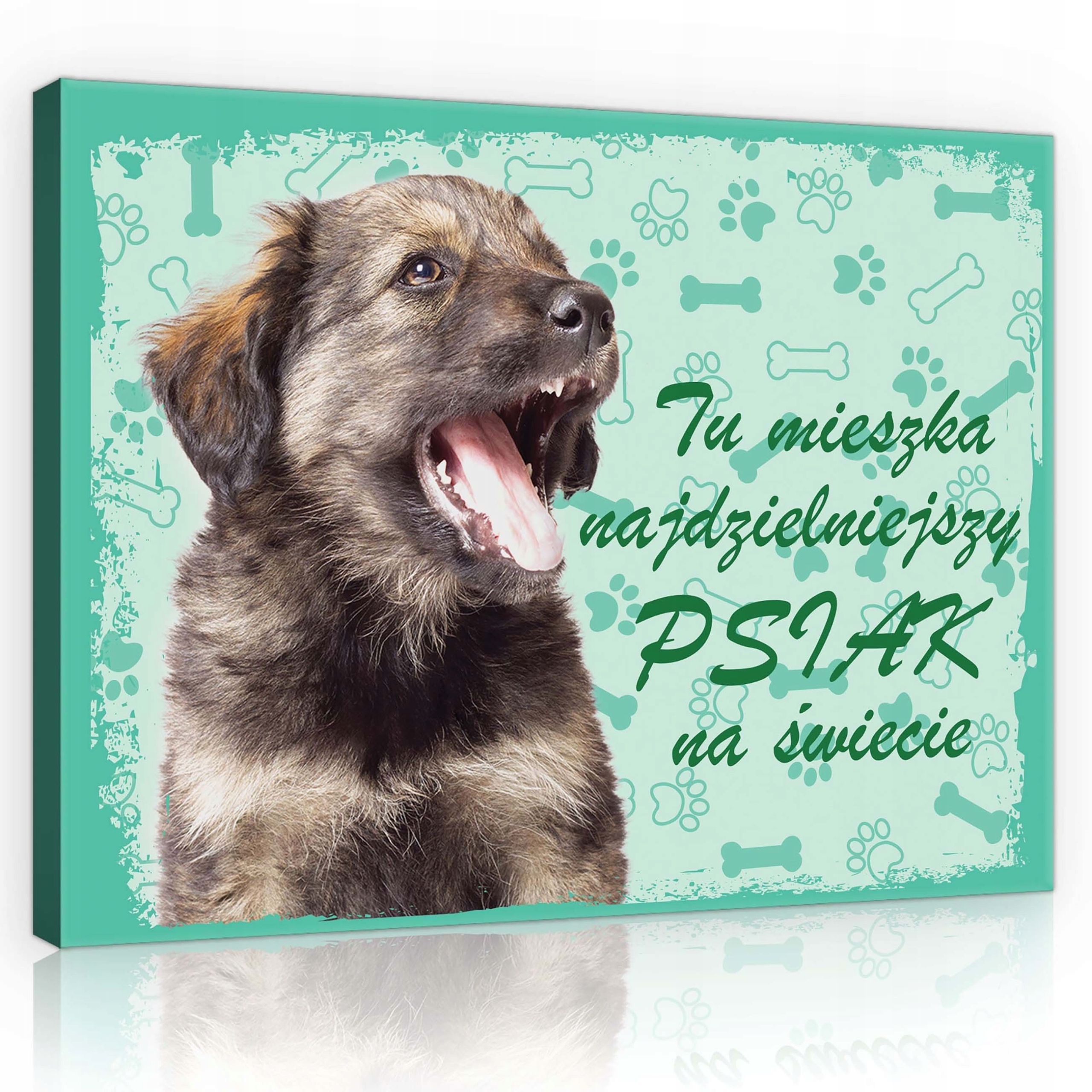 Obraz 100x75 Štěňátko pes portrét radost zábava tlapky kosti tyrkysová