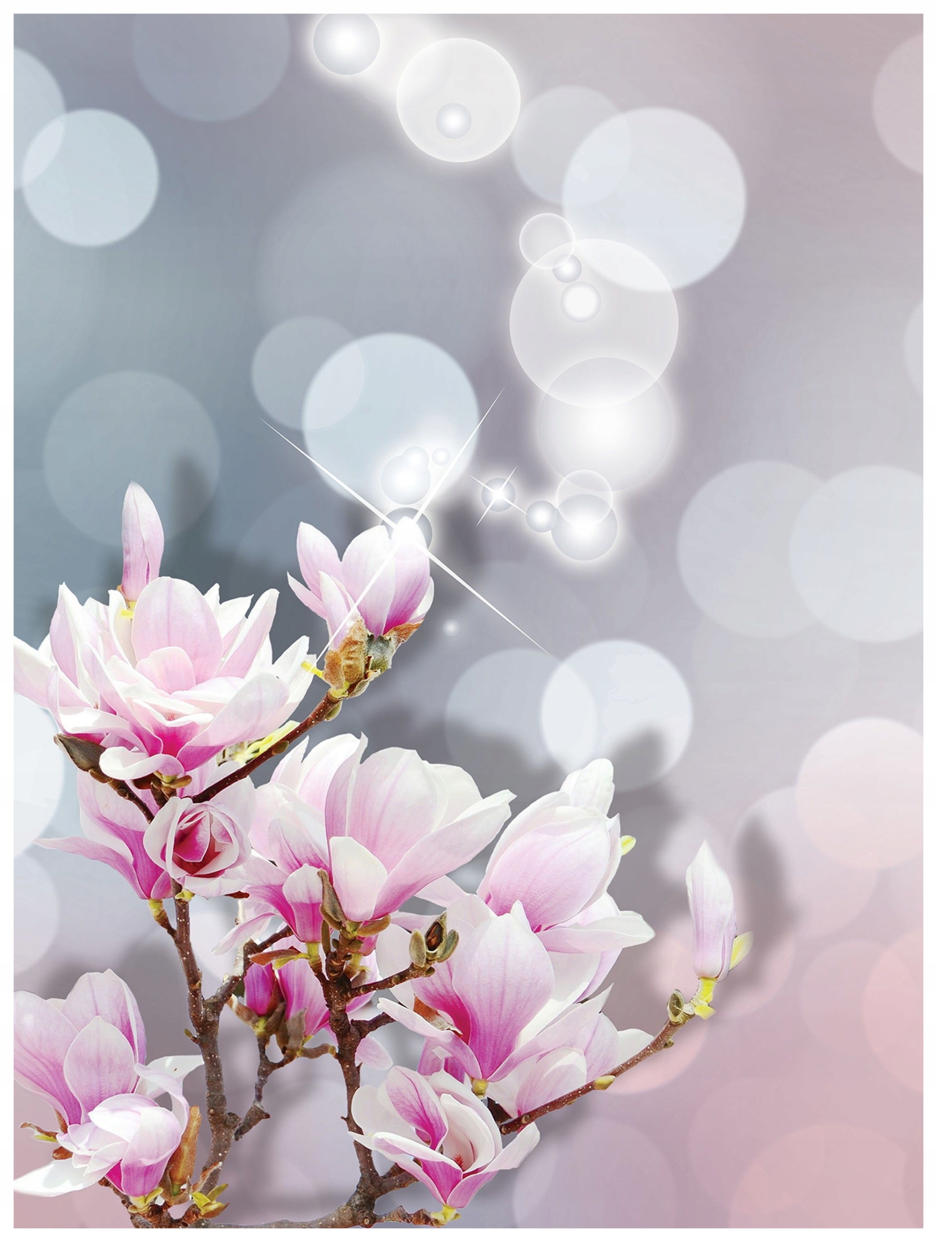 Fototapeta Magnolie Bokeh Jiskry jemnost 184x254 vinylová lepidlo
