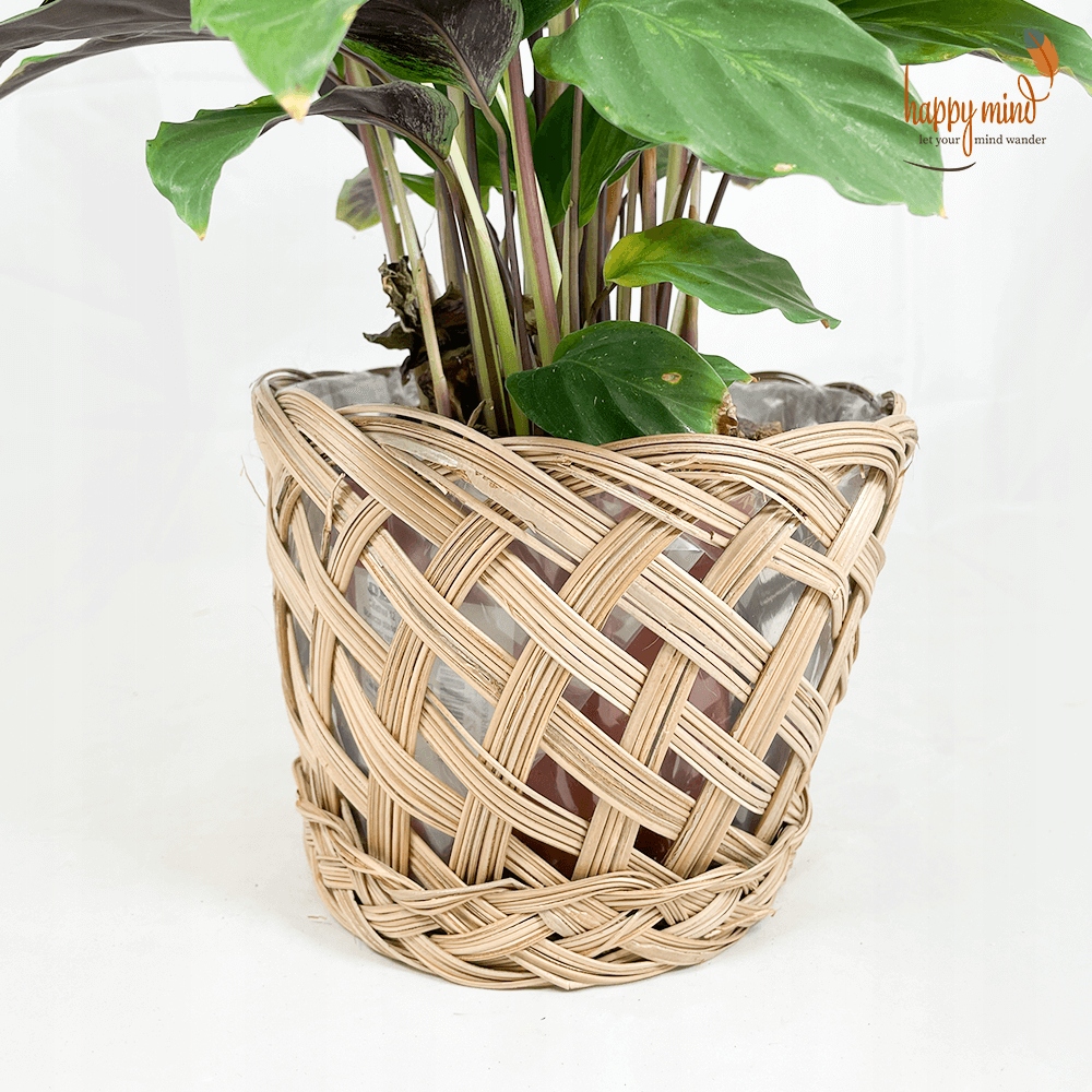 Osłonka na doniczkę rattanowa