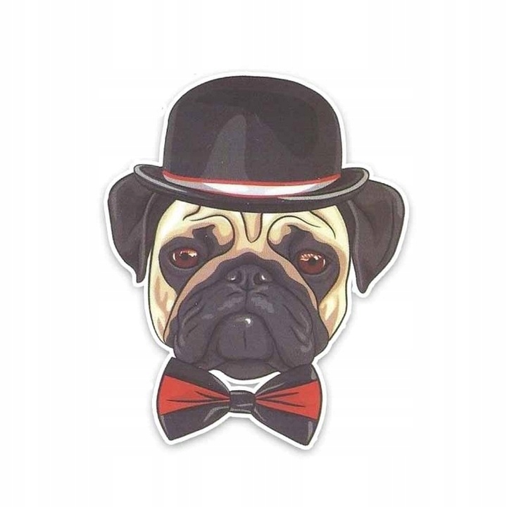 

Naklejka na szybę samochód Mops w kapeluszu pug