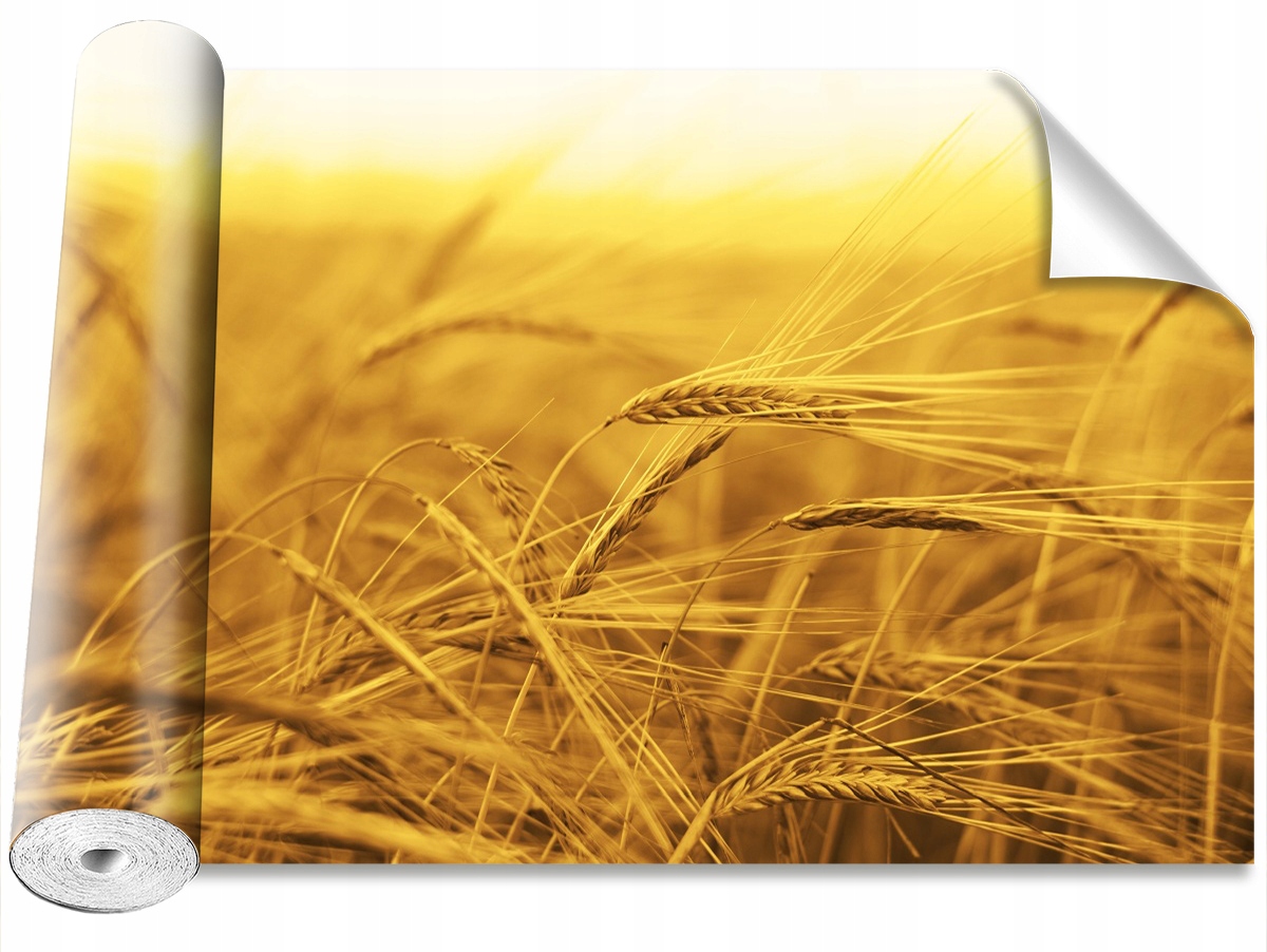 

Tapeta Samoprzylepna Pole pszenicy 104x70