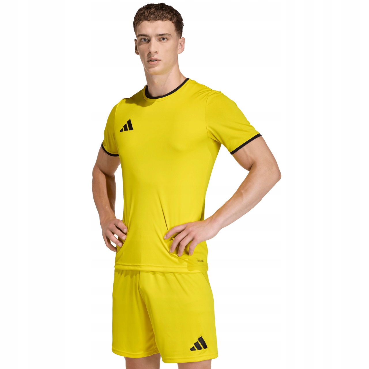 Koszulka męska adidas Entrada 26 Jersey żółta JZ2502 Rozmiar L