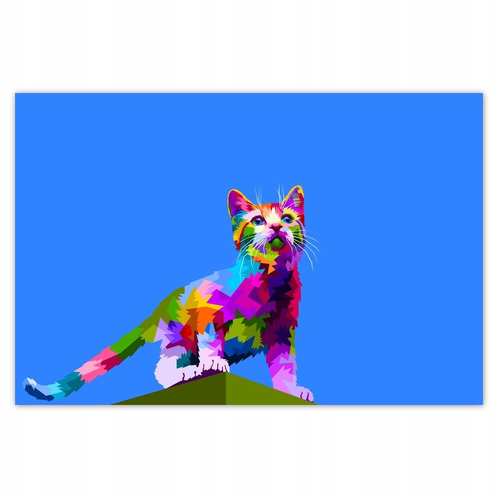 

Plakat 93x62 Kot Kotek Koty Kicia