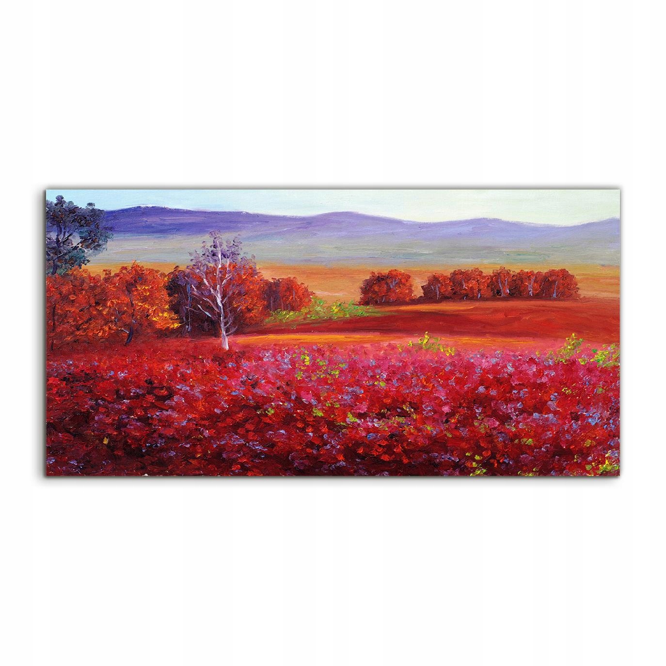 Akrylový obraz 100x50 Závesná krajina Abstrakcia