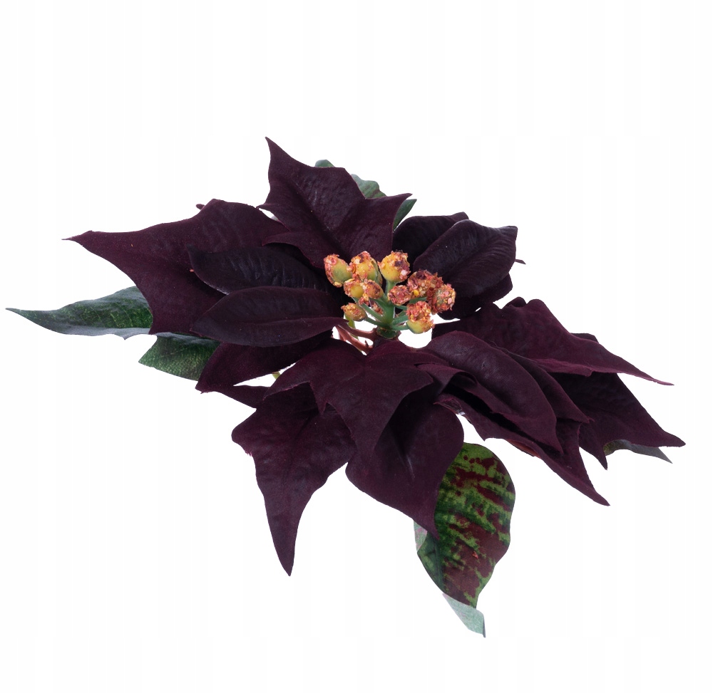 

Poisencja welwetowa burgundowa sztuczna kompozycja