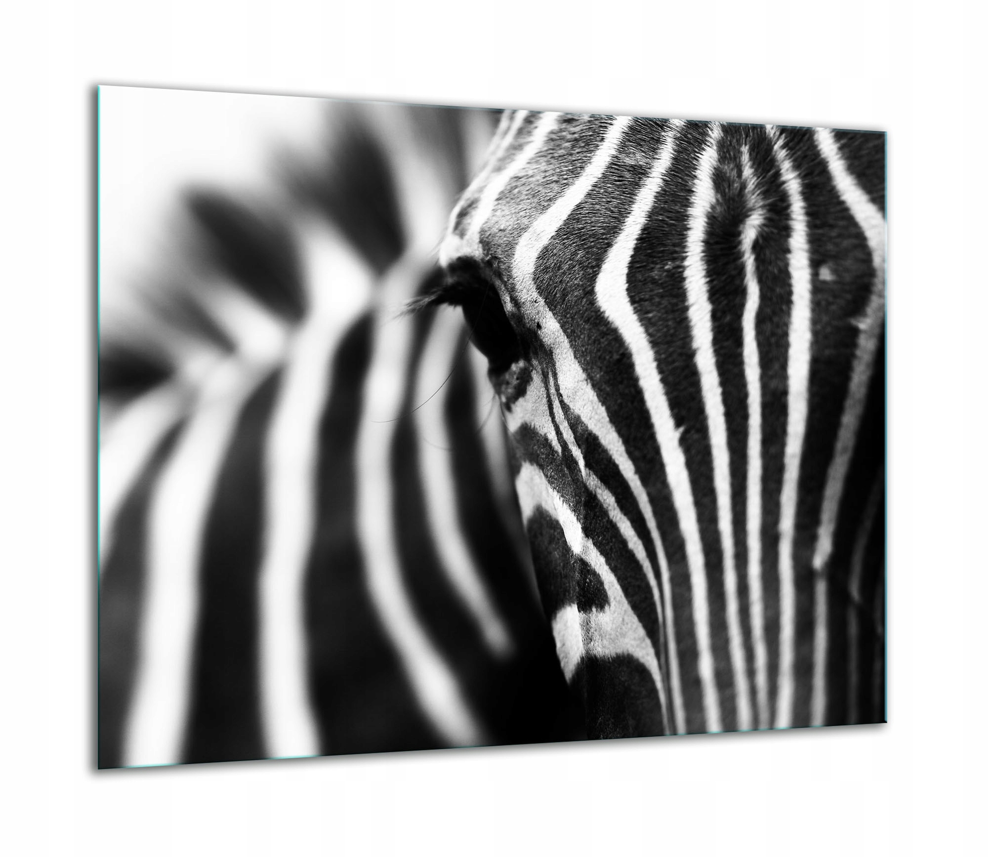 Skleněná Ochranná Deska Na Sporák 60x52 Zebra Kuchyně Indukce 7v1