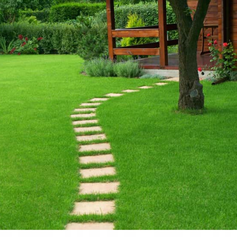 Nawóz Uniwersalny POLIFOSKA PLUS 5-10-20 10kg Producent Grupa Azoty