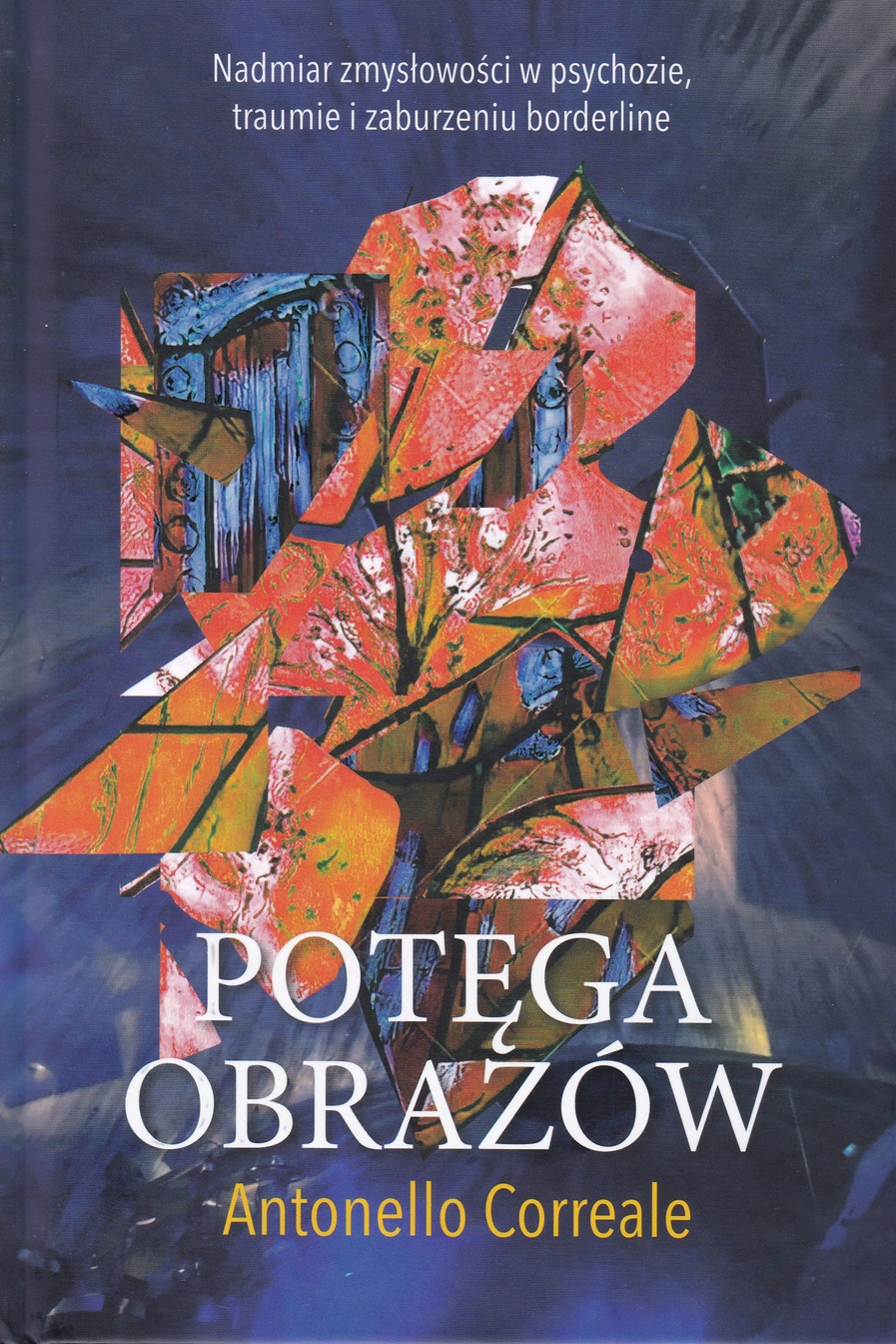 

Potęga Obrazów. Nadmiar Zmysłowości W Psychozie