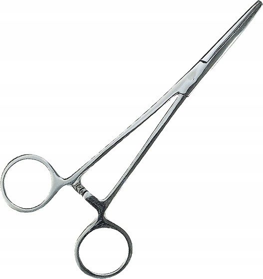 Szczypce Z Prostą Końcówką Jaxon 10cm 1szt