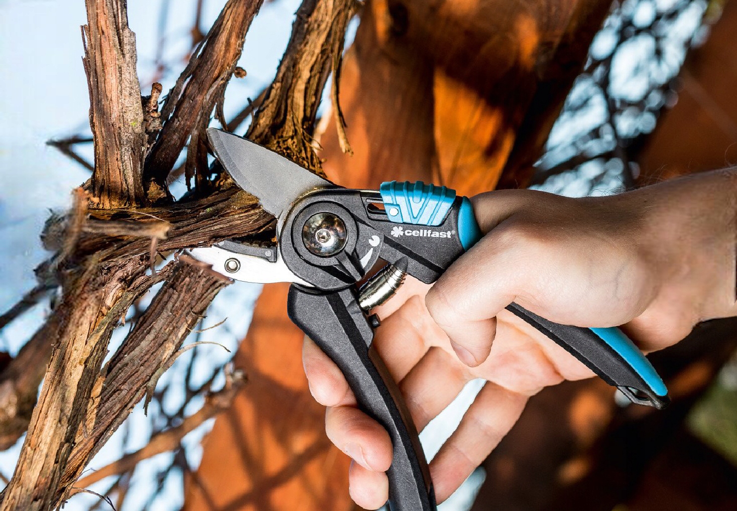 SEKATOR KOWADEŁKOWY 41-021 ERGO IDEAL CELLFAST Zasilanie ręczne