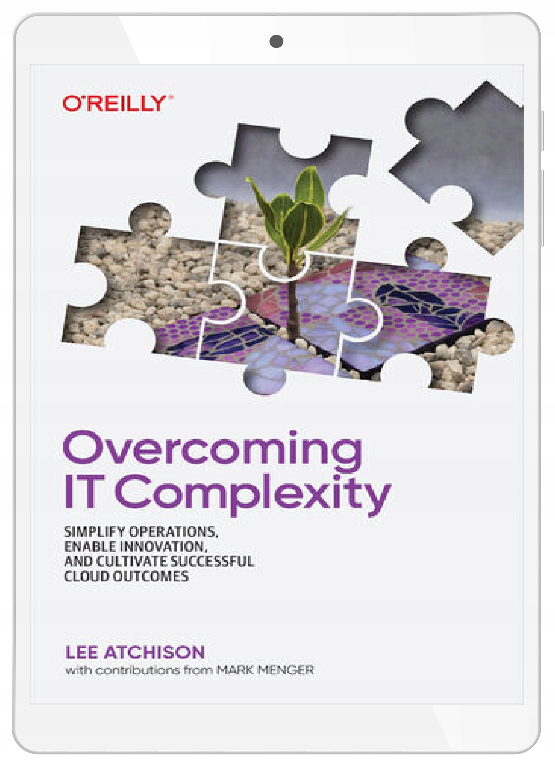 Overcoming IT Complexity