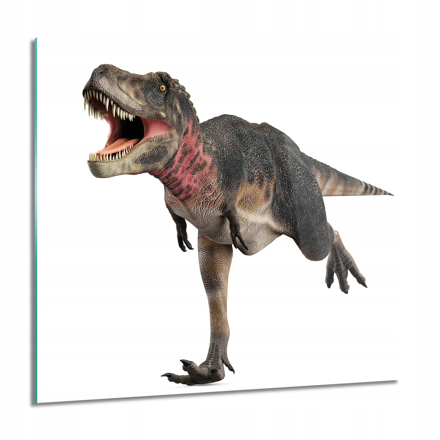 Dinosaurus Tarbozaurus Skleněný nástěnný obraz 60x60