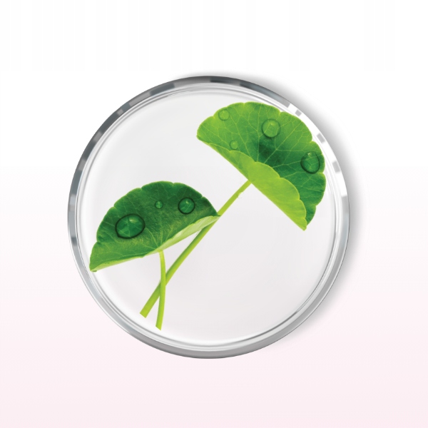 AA LAAB krem pod oczy wygładzający 15ml Rodzaj krem