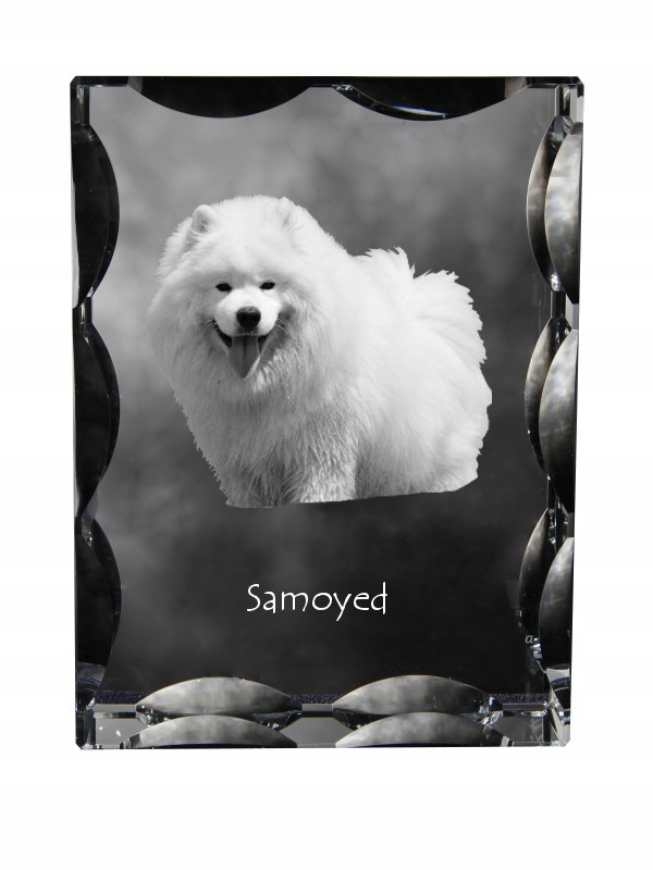 Samojed Samoyed fotografia psa v ozdobnom kryštáli, suvenír, dekorácia domu