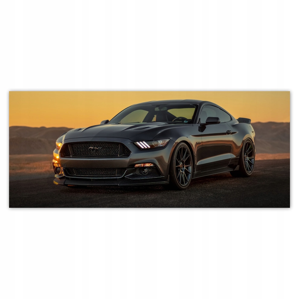 

Fototapety flizelina 250x104 Ford Mustang Usa