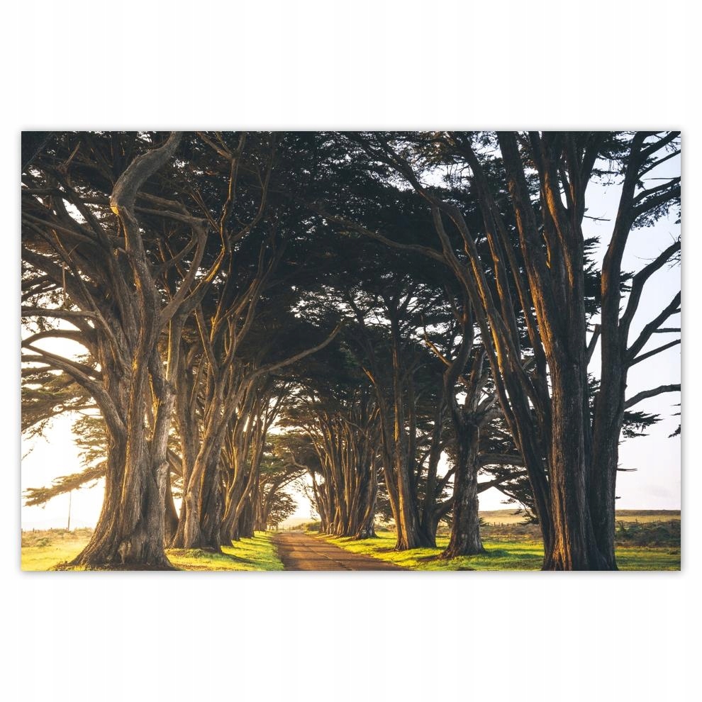 

Plakaty 60x40 Pejzaż Krajobraz Widoczek