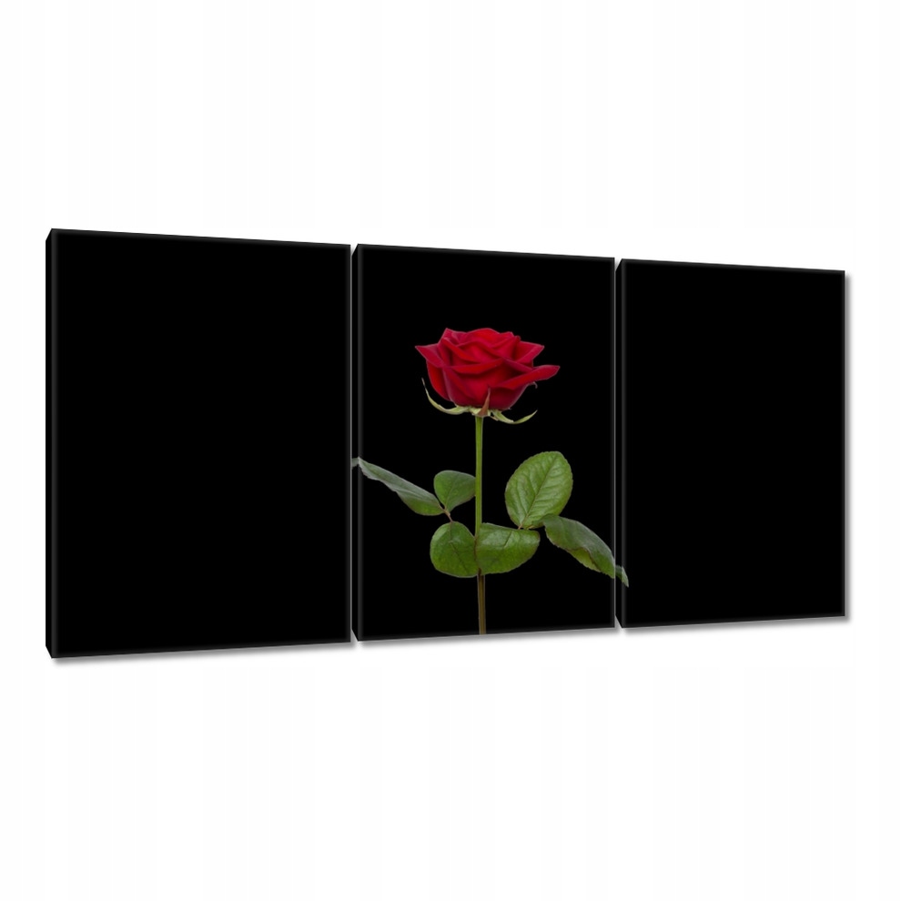 

Obrazy 120x60 Dzień Kobiet Prezent Love