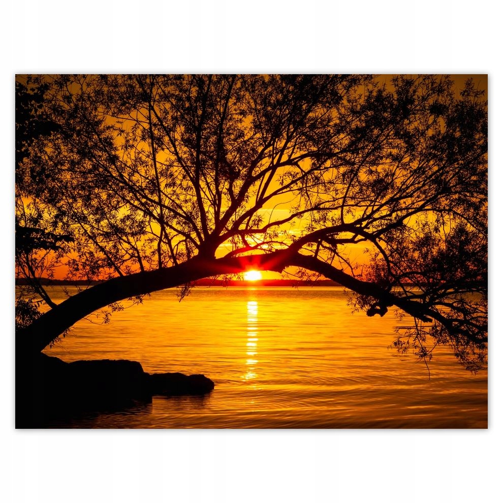

Plakat 40x30 Plaża Drzewo Morze