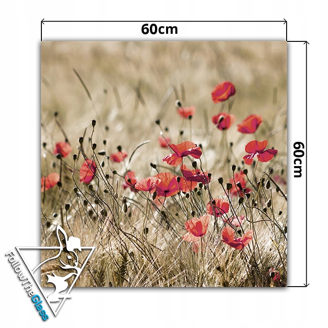 płytki ścienne hartowane kuchnia 60x60 maki Typ dekor