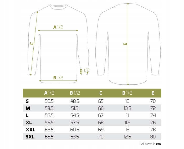 Koszulka z długim rękawem Delphin RAWER Carpath Rękaw długi rękaw