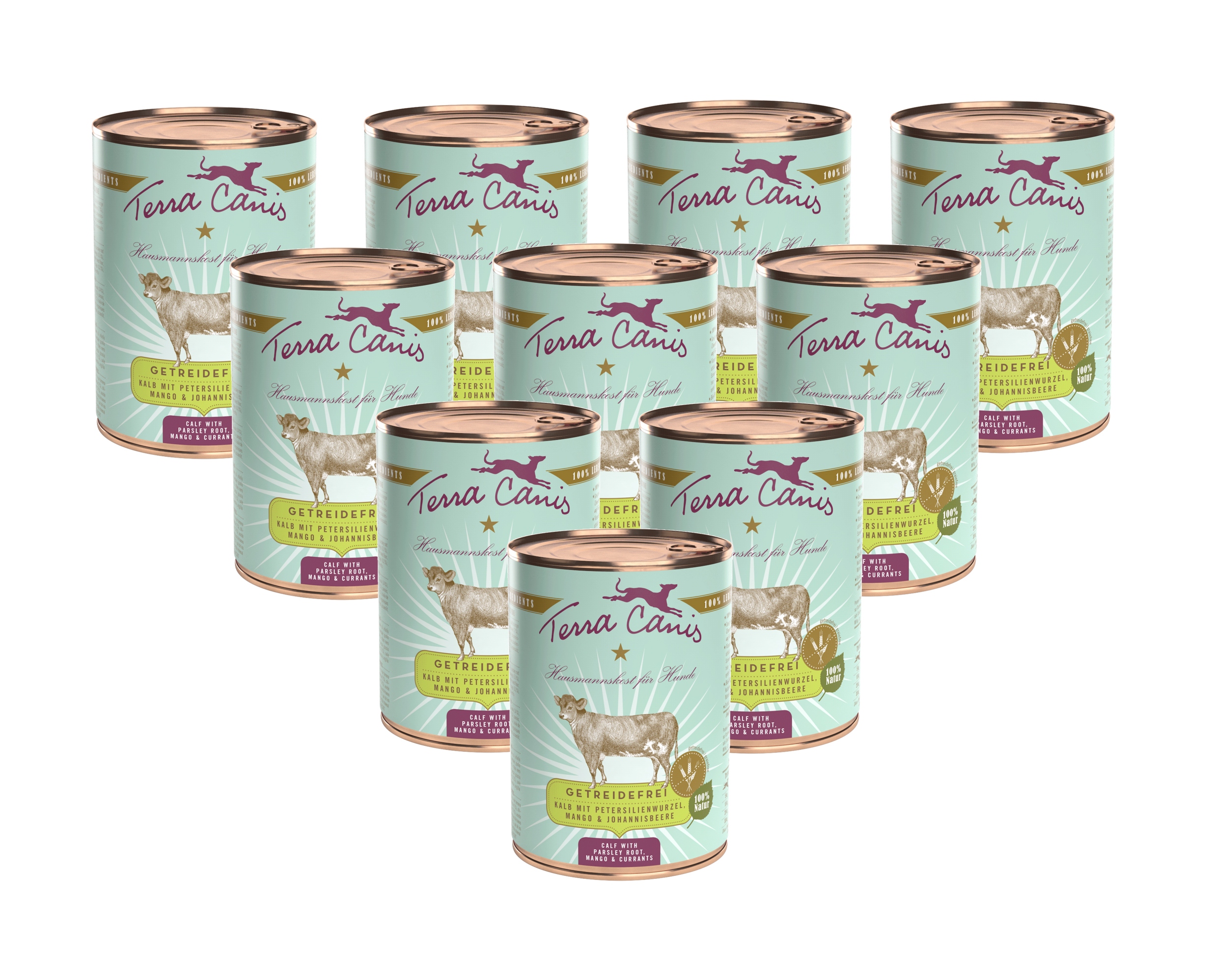 Terra Canis – telecí maso s kořenem petržele, manga a černým rybízem