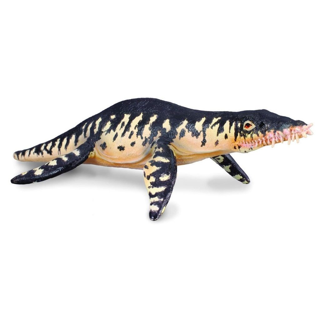 

Dinozaur Liopleurodon CollectA 88237