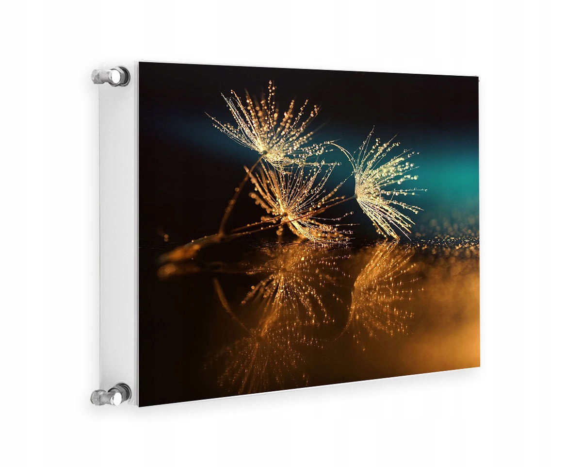 MAGNETYCZNA OSŁONA NA KALORYFER 60x60 KWIATY FOTOTAPETA