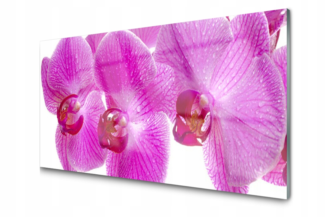 

Panel szklany Płytka Kwiaty Roślina 140x70