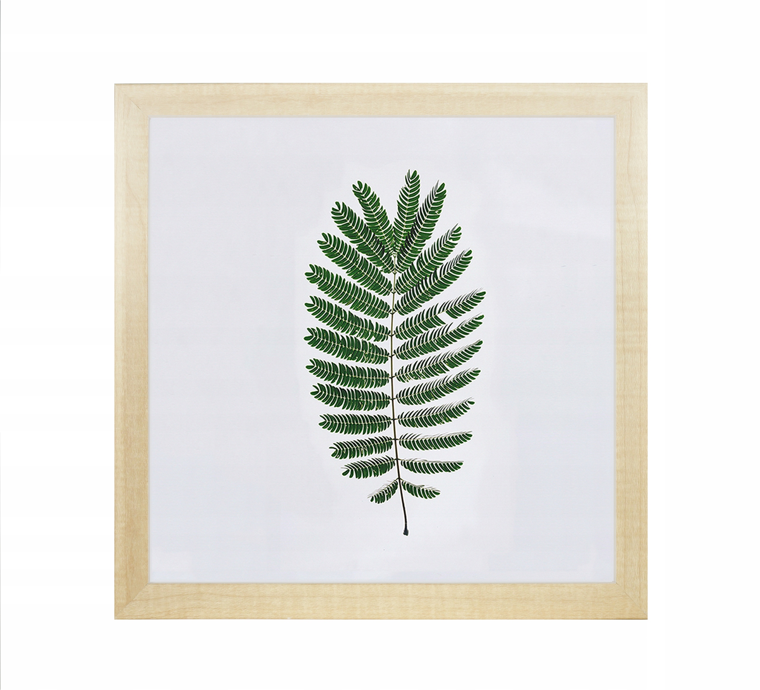 

Ramka na zdjęcia 40x40 Ramki Brzoza
