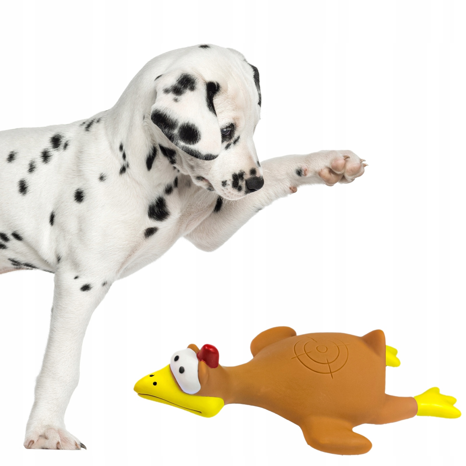 

Brązowa Kura W Locie Do Gryzienia Dla Psa Gryzak