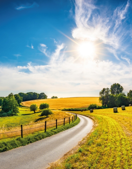 Fototapeta Pohled v létě do obývacího pokoje 200x255 cm, struktura 350 g