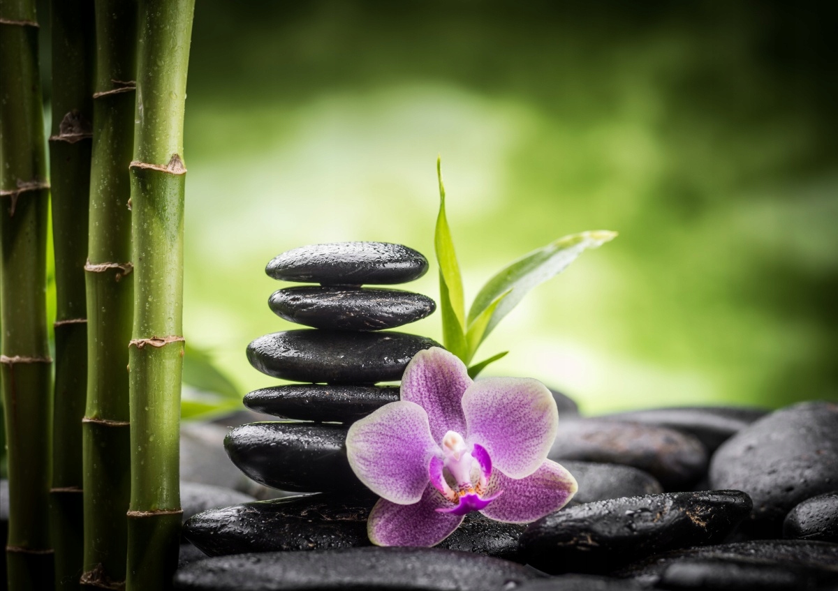 

Tapeta flizelinowa Storczyk zen 312x219