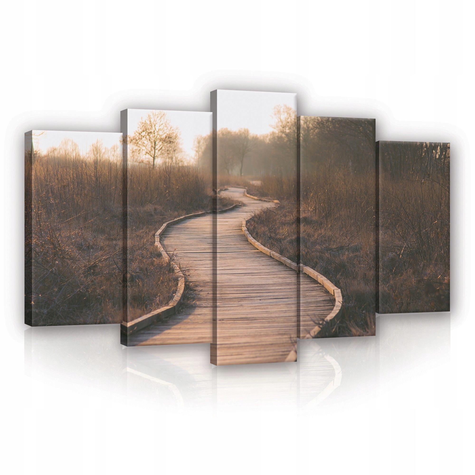 Obraz 100x60 Podzimní cesta les příroda klid osamělost procházka krajina