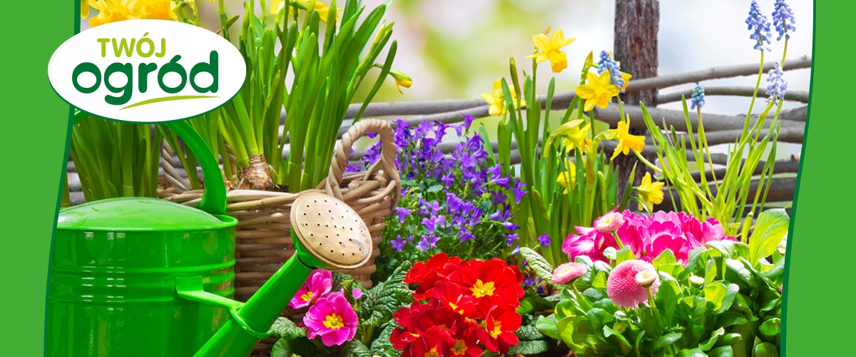 MĄCZKA BAZALTOWA OGRODOWA NAWÓZ EKOLOGICZNY WZMACNIA ROŚLINY 10KG Forma proszek