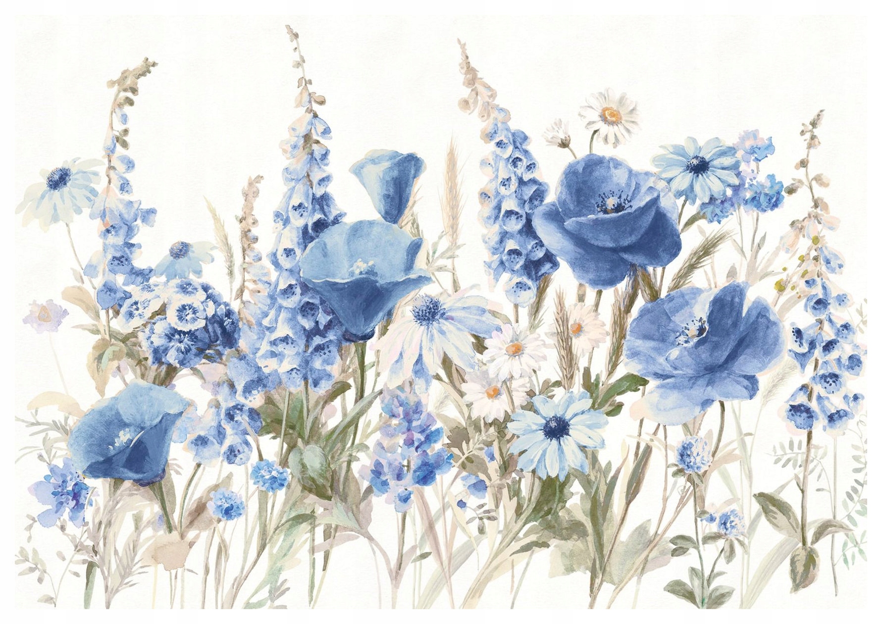 Fototapeta Provensálská louka Máky Zvonky Heřmánky Květiny 250x175 lepidlo