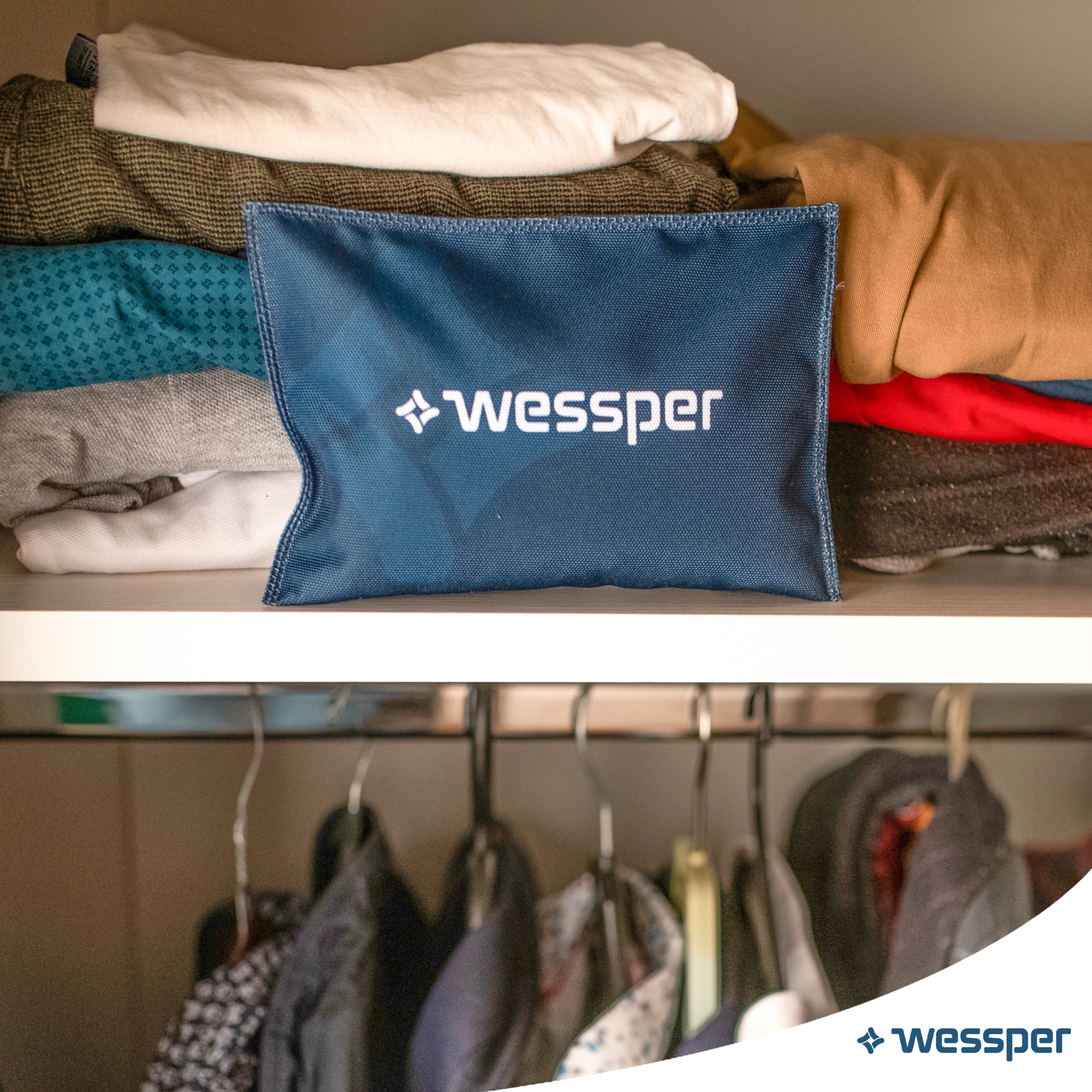 POCHŁANIACZ WILGOCI DO SAMOCHODU DO AUTA 2x Producent Wessper