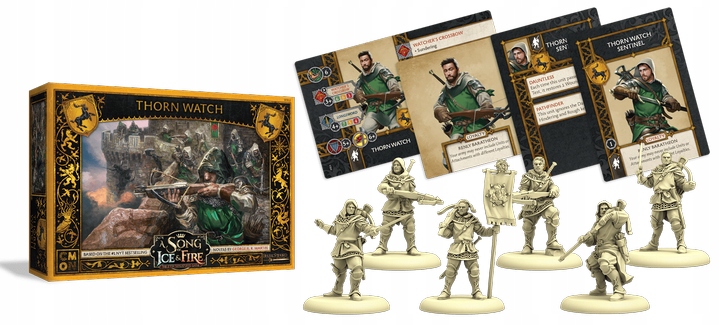 ASoI&F Thorn Watch PL System Inne systemy