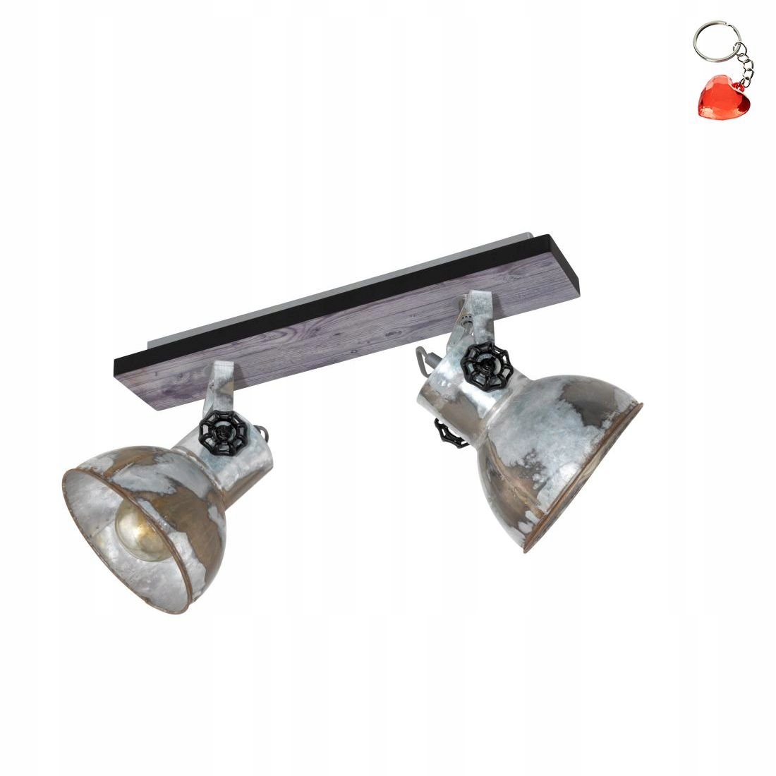 Lampa reflektor spot Barnstaple 49649 Eglo