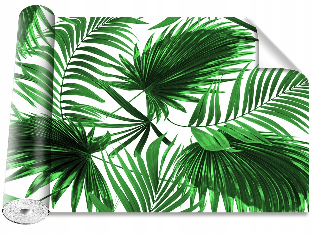 

Fototapeta Samoprzylepna Liście palmowe 312x219